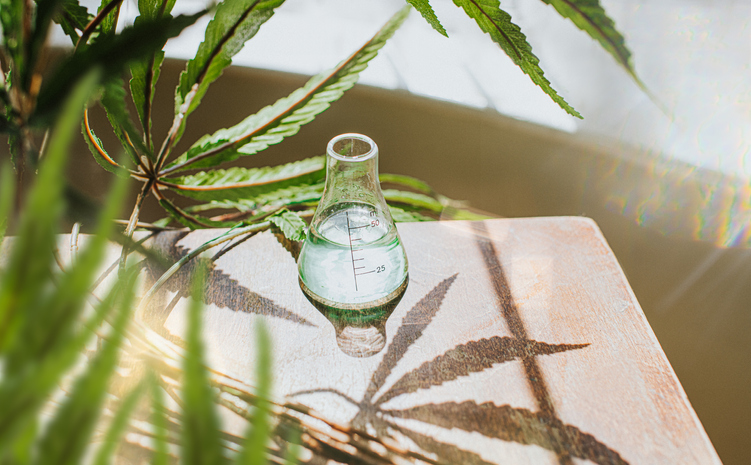 Simple conceptual background image of Conical flask containing cannabis extract
