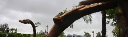 Tropical Storm Hilary Brings Wind and Heavy Rain to Southern California