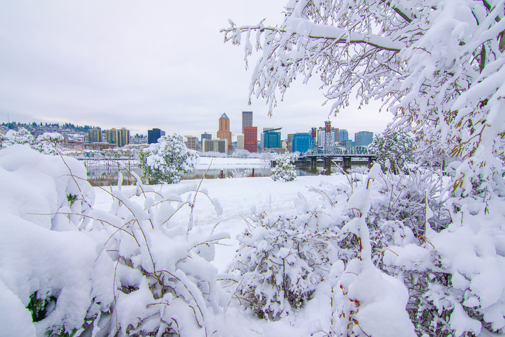Winter Landscape of Portland Oregon