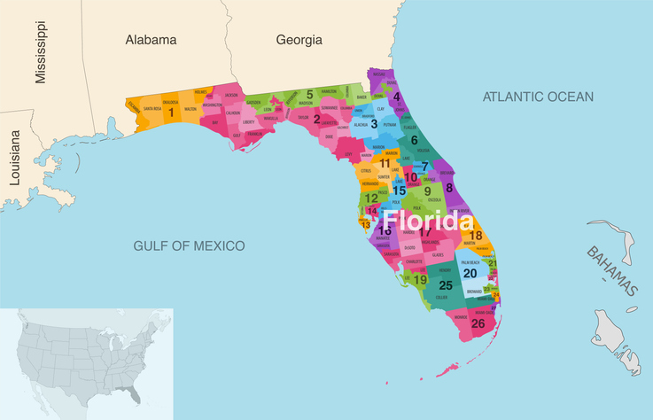 Florida state counties colored by congressional districts vector map with neighbouring states and terrotories
