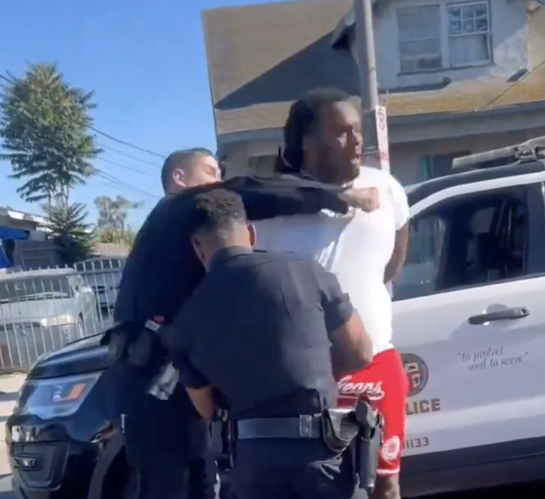 LAPD police brutality video
