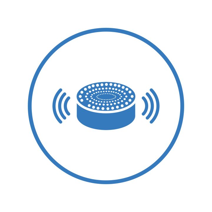 Smart Speaker or Voice Assistant (e.g., Amazon Echo, Google Nest)