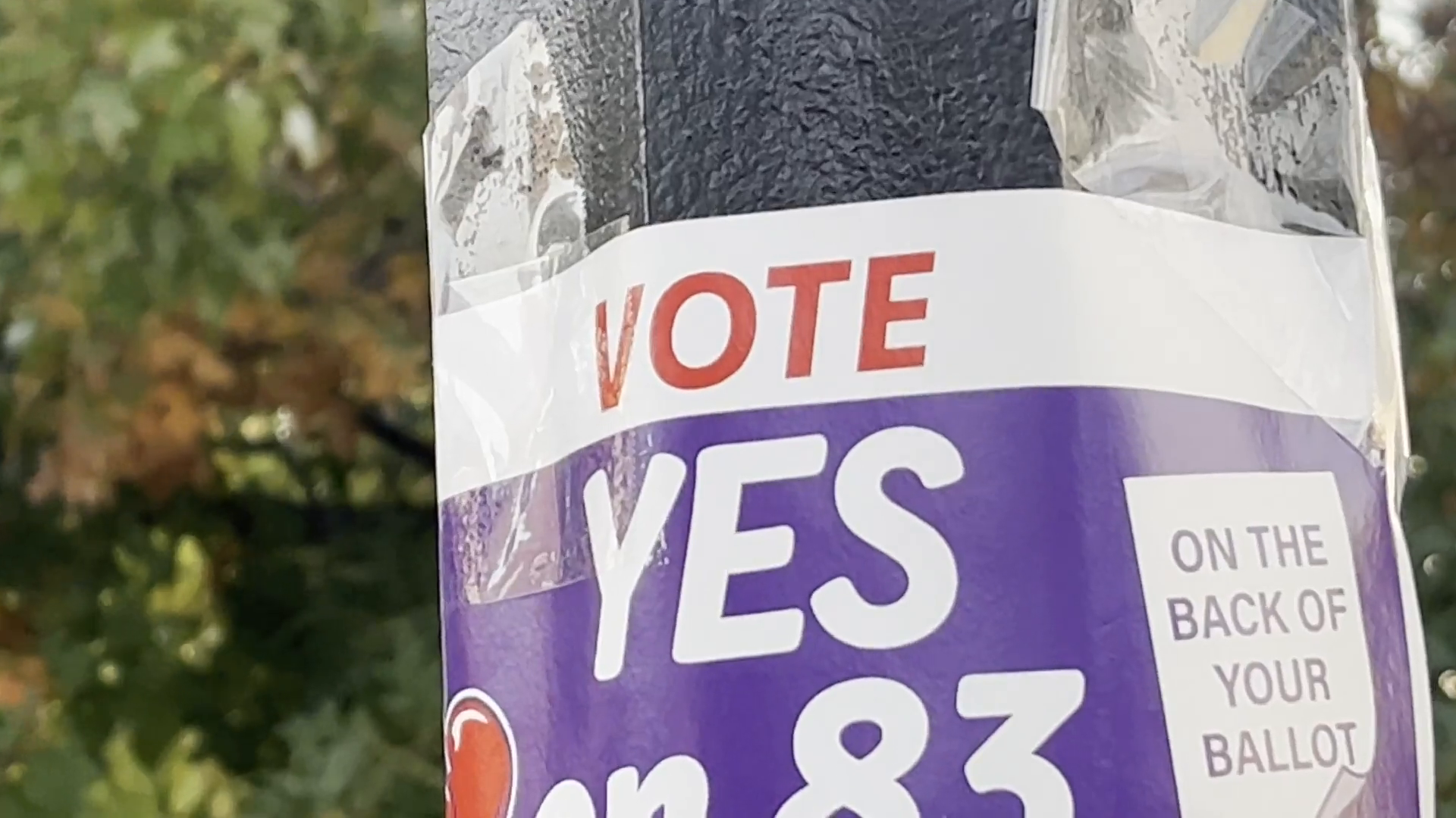 Third-Party Voters Challenge the Two-Party System in High-Stakes Election