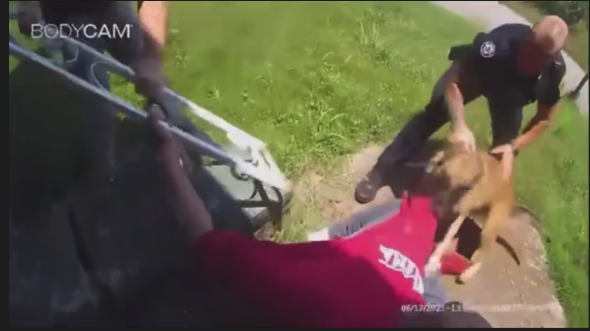 Marvin Long, black man attacked by alabama cops