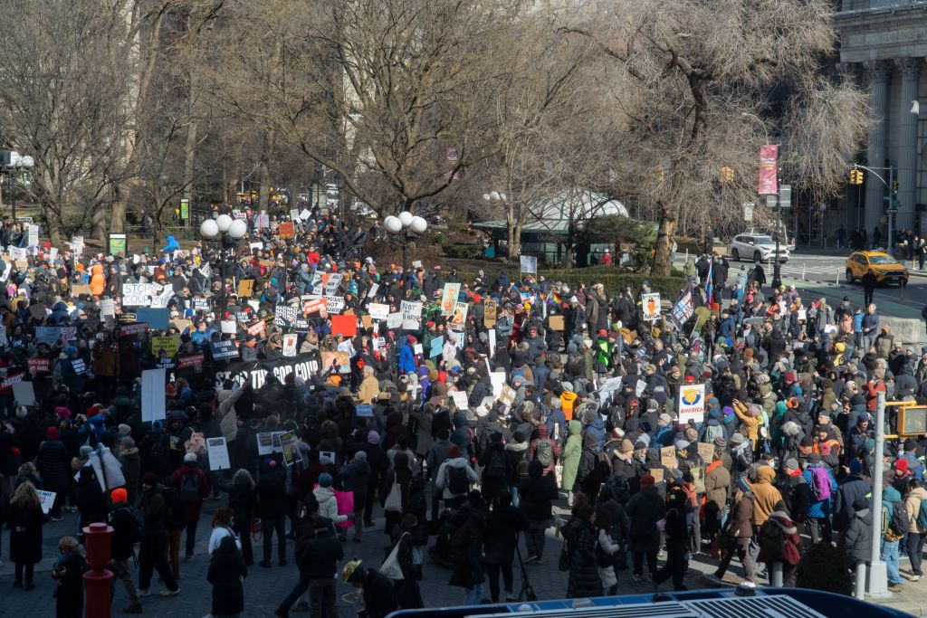 Hundreds gather, protest Trump and Musk actions, Union Square, New York, New York