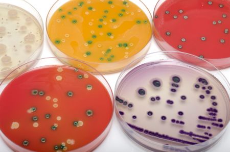 Trump will withdraw the Biden Administration's salmonella safety initiative.