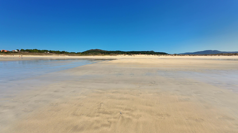 A Serene Beach Scene Set Under a Beautifully Clear Blue Sky, Perfect for Relaxation