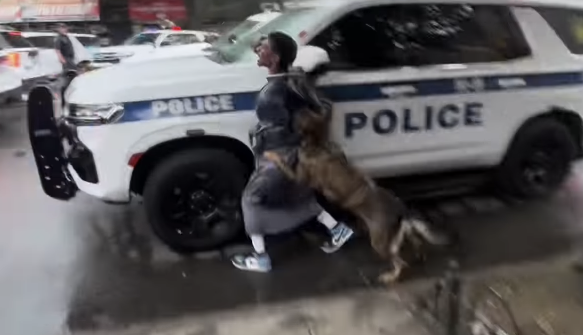 Suffolk County Police K-9 Gets Loose And Attacks Black Man Outside Of Slain NYPD Detective’s Funeral