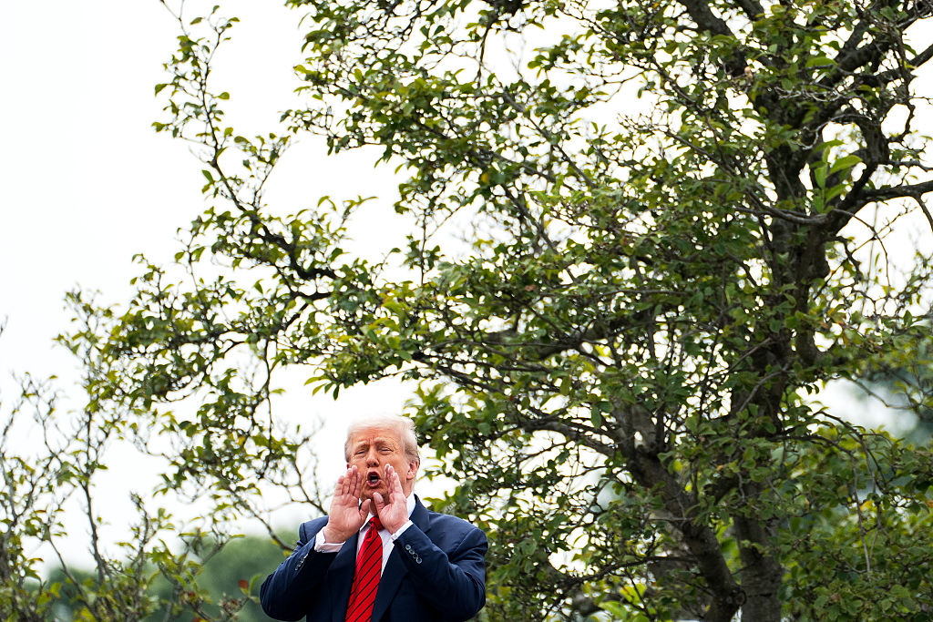 White House US President Donald Trump
