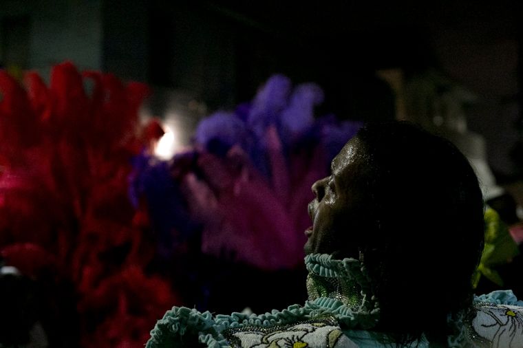 Wild Magnolia On St. Joseph Night