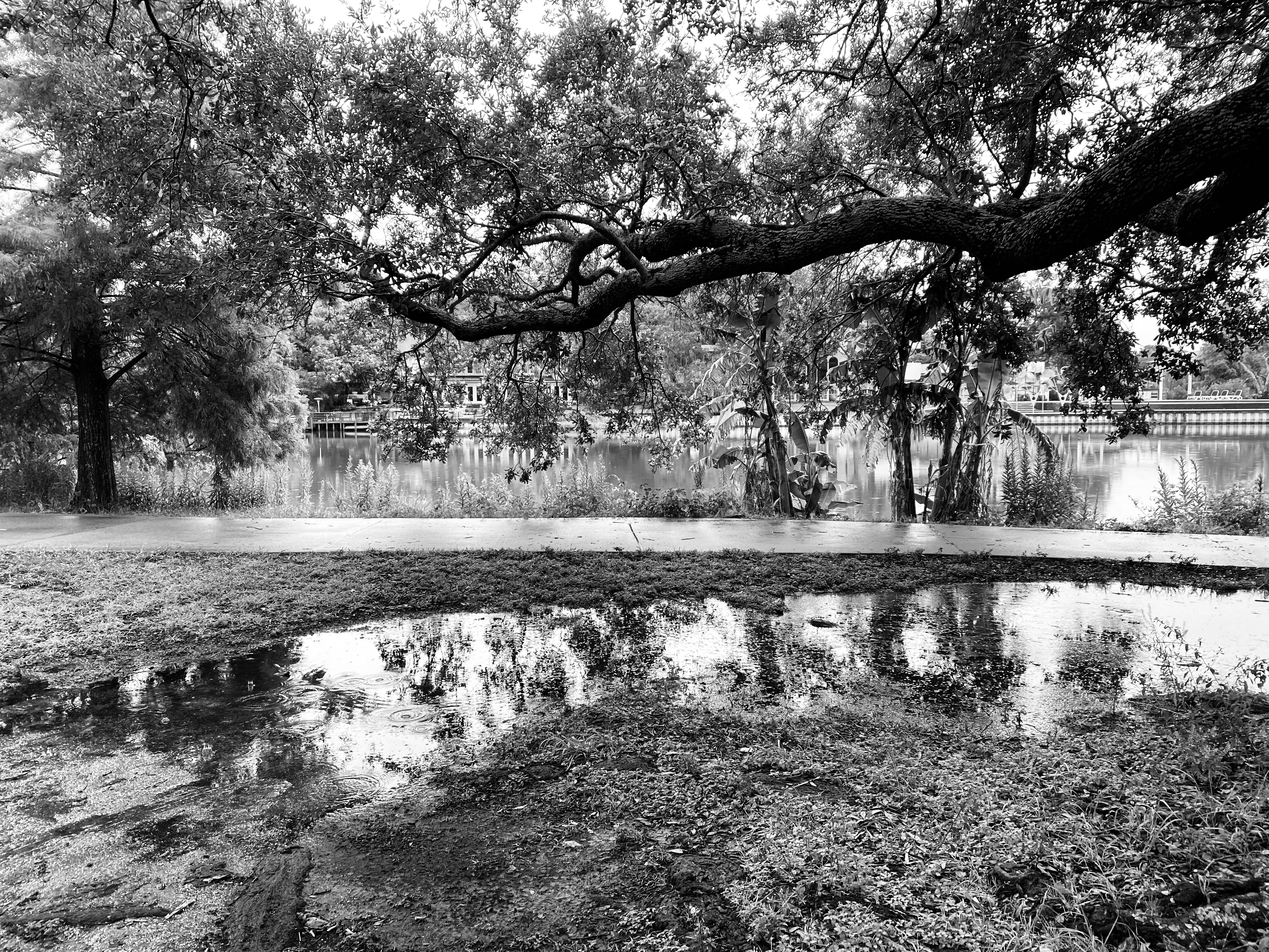 How Hurricane Katrina Changed Me How Hurricane Katrina Changed Me