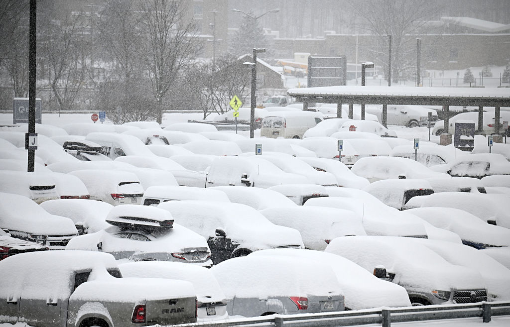 The Art of Baking: From Classic Bread to Artisan Pastries