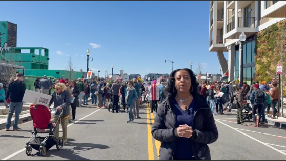 ‘Bad, Corrupt, And Evil’: Protesters In DC Sound Off During Nationwide No Kings Demonstration