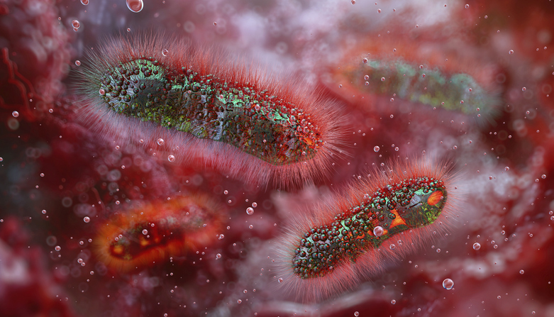 What Is Shigella Infection? What You Need To Know What Is Shigella Infection? What You Need To Know