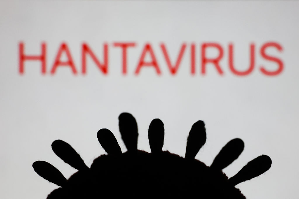 How Contagious Is The Hantavirus?