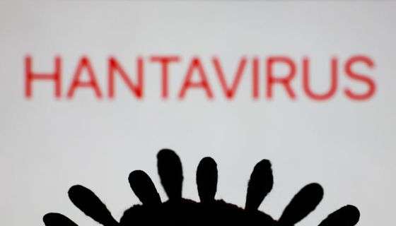How Contagious Is The Hantavirus?