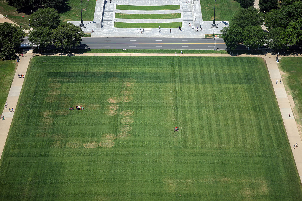 Police Investigate Vandalism On The Lawn Of The National Mall