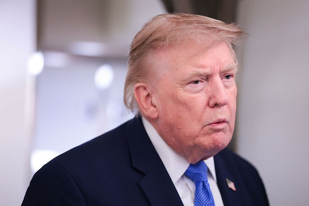 Donald Trump, Donald Trump wig