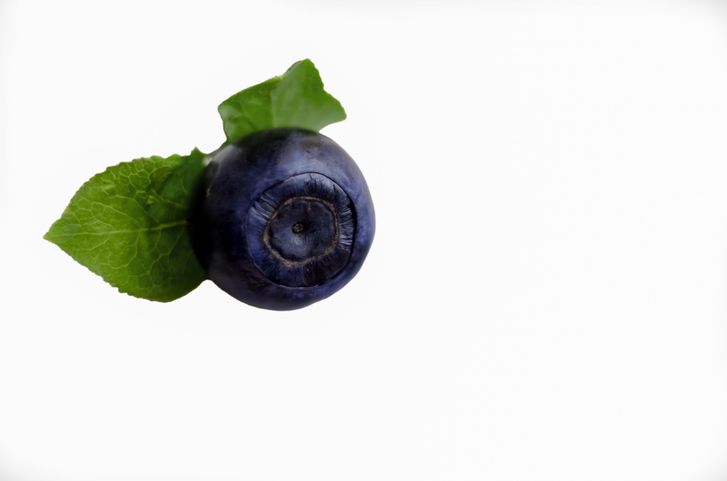 Close-up of a single blueberry with green leaves on a white background, viewed from above